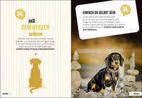 Zusatzmaterial PA 978 3 8485 0448 0 innen 012 von 100 Dinge, die man von einem Hund lernen kann