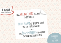 Zusatzmaterial PA 978 3 8485 2384 9 innen 015 von Ein kleines Wunder wächst heran.: Mein Schwangerschafts-Countdown Woche für Woche