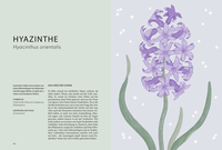 Zusatzmaterial PA 978 3 8485 0381 0 innen 012 von Die Welt der Blumen: Vergessene Weisheiten zauberhafter Blüten und Kräuter von Alison Davies, Sarah Wildling