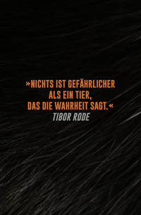Zusatzmaterial U2 978 3 426 56267 3 von Animal: Sprich oder stirb. Thriller von Tibor Rode