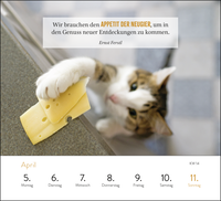 Zusatzmaterial PA 4036442015001 innen 011 von Wochenkalender 2027: Kluge Katzen