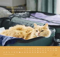 Zusatzmaterial PA 4036442014684 innen 013 von Wandkalender 2027: Einfach mal abhängen