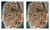 Zusatzmaterial PA 978 3 8485 0266 0 innen 014 von Finde die Unterschiede: Bird View Edition von Stefan Heine