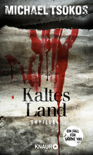 Buchcover von Kaltes Land: Ein Fall für Sabine Yao