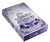 Zusatzmaterial PA 978 3 426 56332 8 innen 011 von The Darkest Academy 1 – Bones von Beril Kehribar