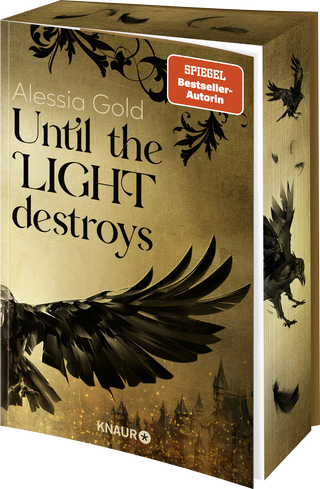 Buchcover von Until the Light destroys: Roman