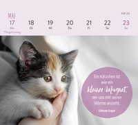 Zusatzmaterial PA 4036442014301 innen 013 von Mini-Wochenkalender 2027: Für Katzenfreunde
