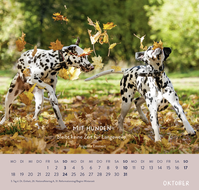 Zusatzmaterial PA 4036442014653 innen 013 von Wandkalender 2027: Für Hundefreunde