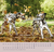 Zusatzmaterial PA 4036442014653 innen 013 von Wandkalender 2027: Für Hundefreunde
