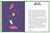 Zusatzmaterial PA 978 3 8485 0090 1 innen 08 von Schütze: Ein edles Geschenkbuch über die Kraft der Astrologie von Stella Andromeda