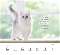 Zusatzmaterial PA 4036442015001 innen 013 von Wochenkalender 2027: Kluge Katzen