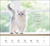 Zusatzmaterial PA 4036442015001 innen 013 von Wochenkalender 2027: Kluge Katzen