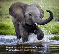 Zusatzmaterial PA 978 3 8485 0361 2 innen 015 von Tierisch happy jeden Tag von Paulus Vennebusch