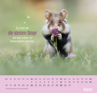 Zusatzmaterial PA 4036442014882 innen 012 von Wandkalender 2027: Kleine Glücksbringer für dein Jahr von Julian Rad