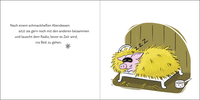 Zusatzmaterial PA 978 3 8485 0458 9 innen 014 von Tilly will ein Glücksschwein sein von Lotte Kutschmann, Nora Fuchs