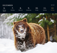 Zusatzmaterial PA 4036442014592 innen 013 von Postkartenkalender 2027: Von Pechvögeln und bunten Hunden: Ein tierisch guter Wochenkalender