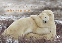 Zusatzmaterial PA 978 3 629 01093 3 innen 011 von 365 mal tierisch gut drauf! von Claus Schmidt c/o Animal Press