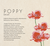 Zusatzmaterial U2 978 3 426 52864 8 von A Place to Shine: Roman von Lilly Lucas