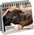 Zusatzmaterial PA 978 3 8485 0048 2 innen 01 von Für Hundefreunde
