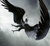 Zusatzmaterial U2 978 3 426 44796 3 von A Whisper of Wings: Roman von Carina Schnell