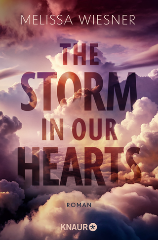 Buchcover von The Storm in Our Hearts : Roman