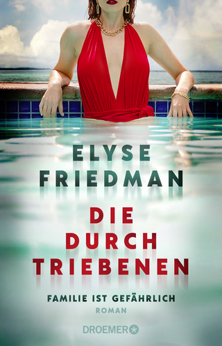 Buchcover von Die Durchtriebenen: Familie ist gefährlich. Roman