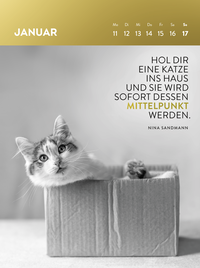 Zusatzmaterial PA 4036442014783 innen 012 von Wochenkalender 2027: Goldene Katzenweisheiten für jeden Tag