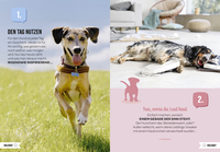 Zusatzmaterial PA 978 3 8485 0448 0 innen 011 von 100 Dinge, die man von einem Hund lernen kann
