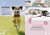 Zusatzmaterial PA 978 3 8485 0448 0 innen 011 von 100 Dinge, die man von einem Hund lernen kann