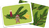 Zusatzmaterial PA 4260308346538 innen 013 von Bäumchen, schmück dich!: Ein Kartenspiel für die ganze Familie von Michael Feldkötter, Juliane Zickelbein