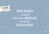 Zusatzmaterial PA 978 3 8485 2384 9 innen 016 von Ein kleines Wunder wächst heran.: Mein Schwangerschafts-Countdown Woche für Woche