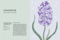 Zusatzmaterial PA 978 3 8485 0381 0 innen 016 von Die Welt der Blumen: Vergessene Weisheiten zauberhafter Blüten und Kräuter von Alison Davies, Sarah Wildling