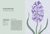 Zusatzmaterial PA 978 3 8485 0381 0 innen 016 von Die Welt der Blumen: Vergessene Weisheiten zauberhafter Blüten und Kräuter von Alison Davies, Sarah Wildling