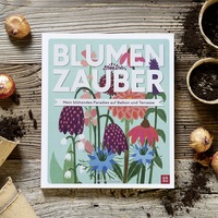 Zusatzmaterial PA 978 3 8485 0377 3 innen 031 von Blumenzauber – Mein blühendes Paradies auf Balkon und Terrasse von Jennita Jansen