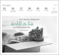 Zusatzmaterial PA 4036442014561 innen 014 von Postkartenkalender 2027: Inspirierende Worte für Katzenfreunde