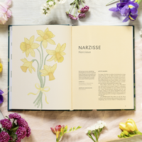 Zusatzmaterial PA 978 3 8485 0381 0 innen 033 von Die Welt der Blumen: Vergessene Weisheiten zauberhafter Blüten und Kräuter von Alison Davies, Sarah Wildling