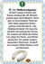 Zusatzmaterial PA 4036442009819 innen 006 von Wer hätte das gedacht?! Das Unnützes-Wissen-Quiz Weiß-Blau von Susanne Lieb