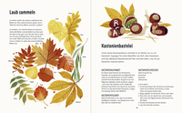 Zusatzmaterial PA 978 3 629 01032 2 innen 014 von Spielplatz Wald: Lustige und kreative Ideen für das ganze Jahr  von Julia Wiberg, Cecilia Heikkilä