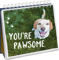 Zusatzmaterial PA 978 3 8485 0150 2 innen 011 von Dog Philosophy: Was für ein Hundeleben! Humorvoller Sprüche-Aufsteller für Hundeliebhaber mit Hundeillustrationen, Hundefotos und Aphorismen