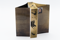 Zusatzmaterial PA 978 3 426 56573 5 detail 033 von Until the Light destroys: Roman von Alessia Gold