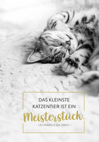 Zusatzmaterial PA 4036442014431 innen 012 von Buchkalender 2027: Für Katzenfreunde