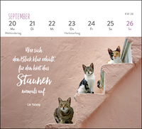 Zusatzmaterial PA 4036442014301 innen 015 von Mini-Wochenkalender 2027: Für Katzenfreunde