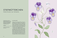Zusatzmaterial PA 978 3 8485 0381 0 innen 018 von Die Welt der Blumen: Vergessene Weisheiten zauberhafter Blüten und Kräuter von Alison Davies, Sarah Wildling
