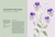 Zusatzmaterial PA 978 3 8485 0381 0 innen 018 von Die Welt der Blumen: Vergessene Weisheiten zauberhafter Blüten und Kräuter von Alison Davies, Sarah Wildling