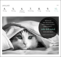 Zusatzmaterial PA 4036442014561 innen 011 von Postkartenkalender 2027: Inspirierende Worte für Katzenfreunde