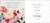 Zusatzmaterial PA 978 3 8485 0223 3 innen 011 von Happy Birthday to you: Alles Gute zum Geburtstag