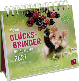 Produktbild von Postkartenkalender 2027: Kleine Glücksbringer für dein Jahr von Julian Rad