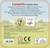 Zusatzmaterial 4260308346514 U4 von Lieselotte Mutmachkarten von Alexander Steffensmeier