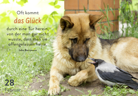 Zusatzmaterial PA 978 3 629 01093 3 innen 012 von 365 mal tierisch gut drauf! von Claus Schmidt c/o Animal Press