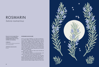 Zusatzmaterial PA 978 3 8485 0381 0 innen 014 von Die Welt der Blumen: Vergessene Weisheiten zauberhafter Blüten und Kräuter von Alison Davies, Sarah Wildling